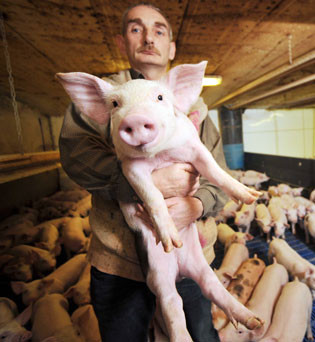 Pig farmer