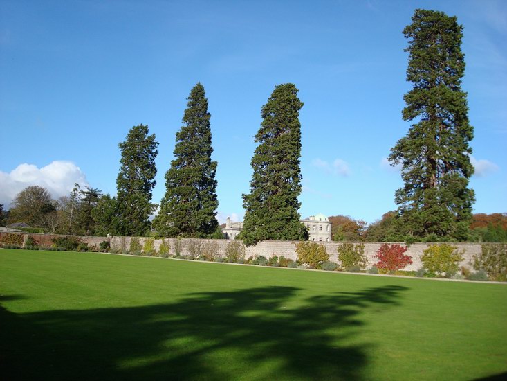 Walled Garden. Själva trädgården syns ej i bild, men Henrik tyckte bilden var fin