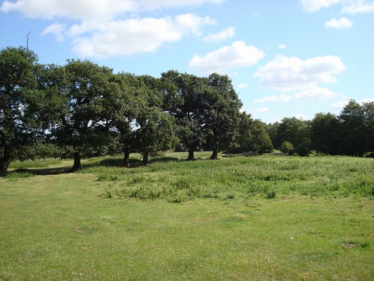 Omgivningarna under vår trekk