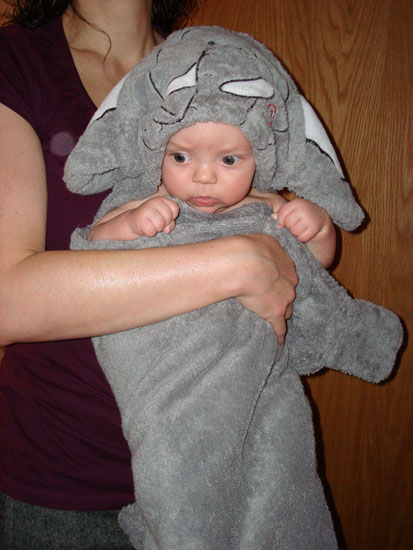 Precis som sin mamma gillar Oscar elefanter och givetvis är denna handduk en favorit.