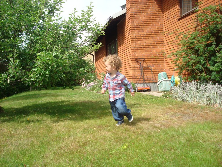Oscar på språng i Astrid och Sörens trädgård.