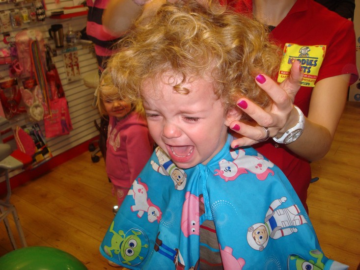 Under klippning: Vilt